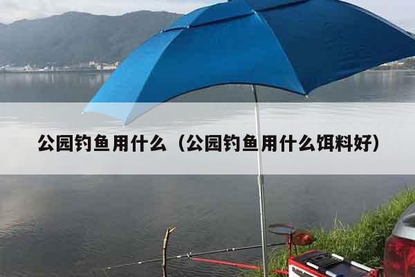 公园钓鱼用什么（公园钓鱼用什么饵料好）