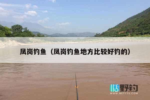 凤岗钓鱼（凤岗钓鱼地方比较好钓的）
