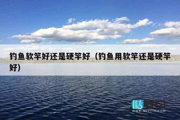 钓鱼软竿好还是硬竿好（钓鱼用软竿还是硬竿好）