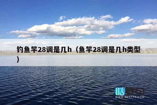 钓鱼竿28调是几h（鱼竿28调是几h类型）
