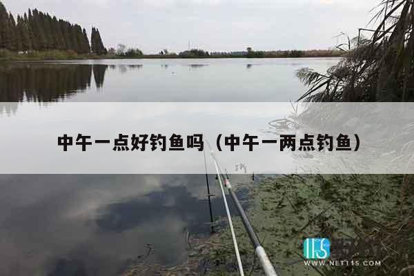 中午一点好钓鱼吗（中午一两点钓鱼）