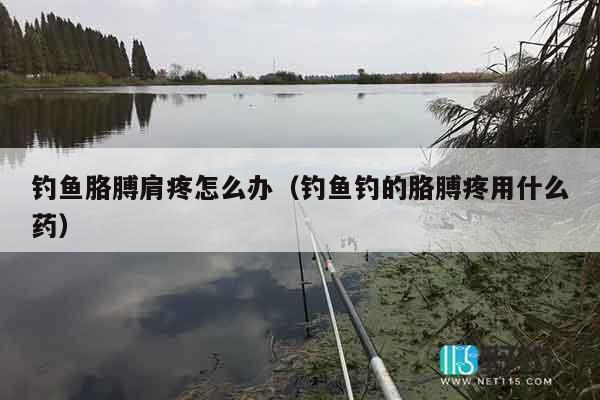 钓鱼胳膊肩疼怎么办（钓鱼钓的胳膊疼用什么药）