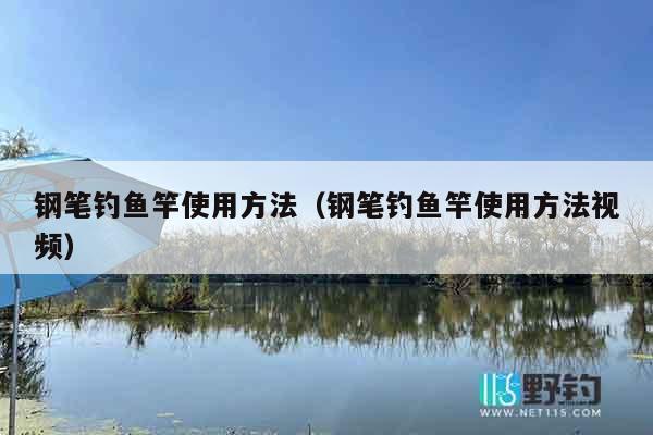 钢笔钓鱼竿使用方法（钢笔钓鱼竿使用方法视频）