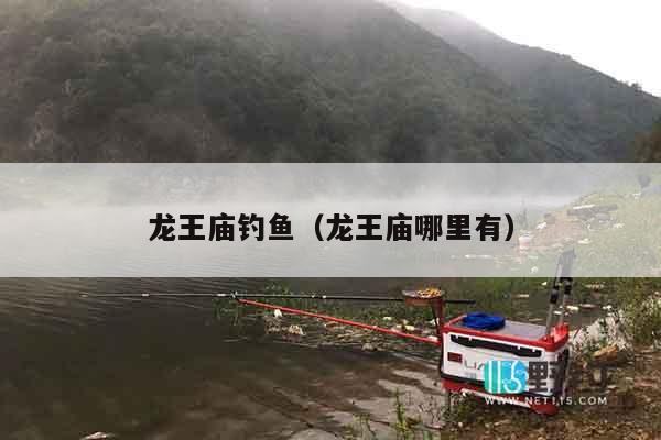 龙王庙钓鱼（龙王庙哪里有）