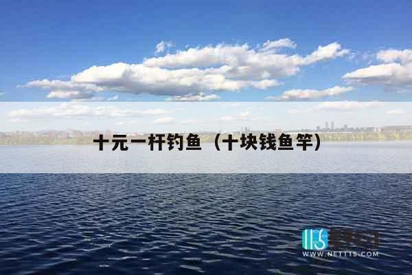 十元一杆钓鱼（十块钱鱼竿）