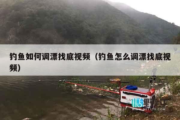 钓鱼如何调漂找底视频（钓鱼怎么调漂找底视频）