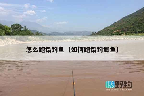 怎么跑铅钓鱼（如何跑铅钓鲫鱼）