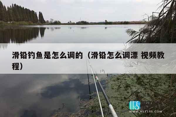 滑铅钓鱼是怎么调的（滑铅怎么调漂 视频教程）