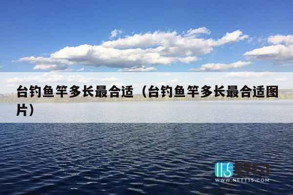 台钓鱼竿多长最合适（台钓鱼竿多长最合适图片）
