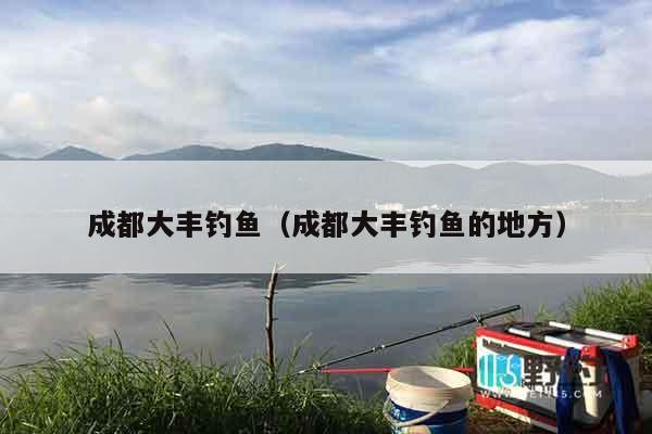 成都大丰钓鱼（成都大丰钓鱼的地方）