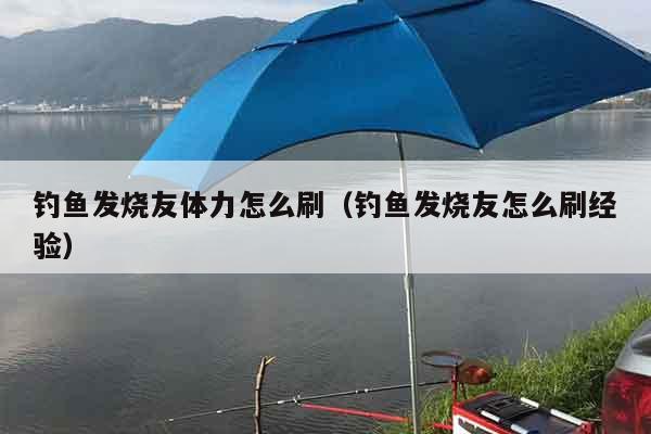 钓鱼发烧友体力怎么刷（钓鱼发烧友怎么刷经验）