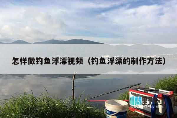 怎样做钓鱼浮漂视频（钓鱼浮漂的制作方法）