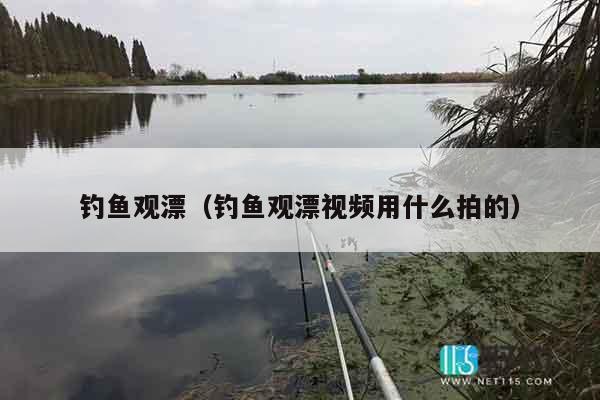 钓鱼观漂（钓鱼观漂视频用什么拍的）
