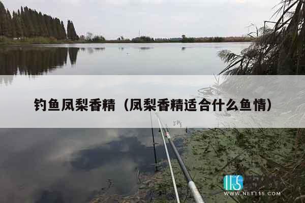 钓鱼凤梨香精（凤梨香精适合什么鱼情）