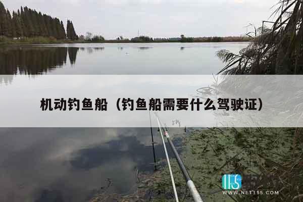 机动钓鱼船（钓鱼船需要什么驾驶证）