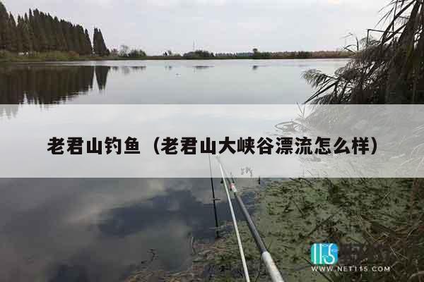 老君山钓鱼（老君山大峡谷漂流怎么样）