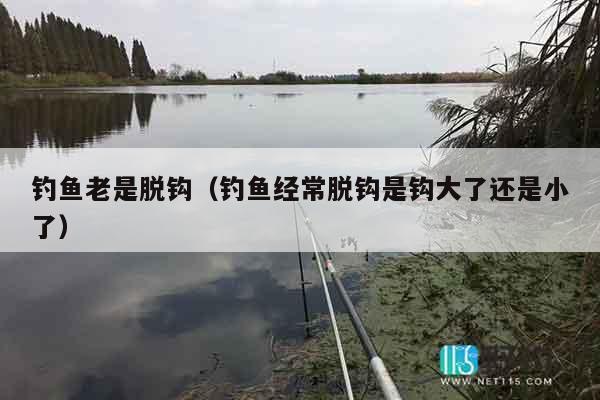 钓鱼老是脱钩（钓鱼经常脱钩是钩大了还是小了）