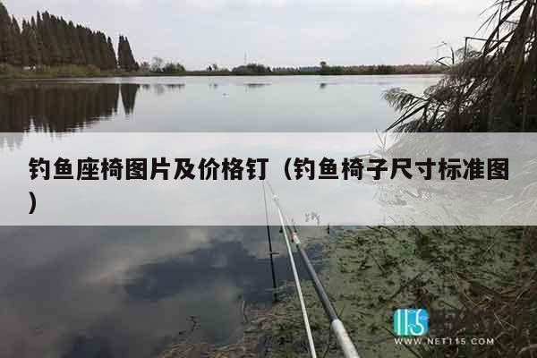 钓鱼座椅图片及价格钉（钓鱼椅子尺寸标准图）