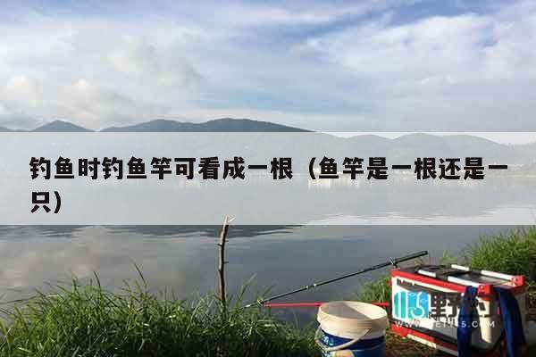 钓鱼时钓鱼竿可看成一根（鱼竿是一根还是一只）