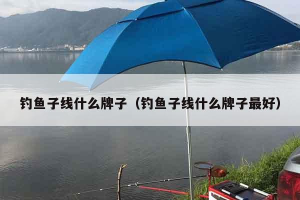 钓鱼子线什么牌子（钓鱼子线什么牌子最好）