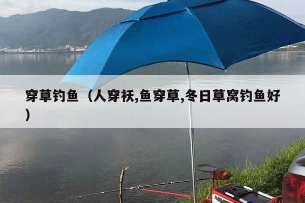 穿草钓鱼（人穿袄,鱼穿草,冬日草窝钓鱼好）