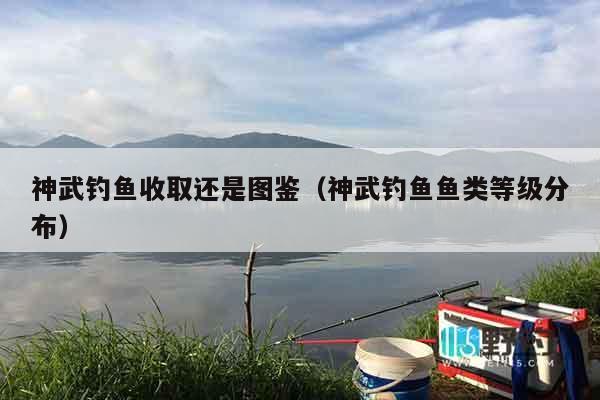 神武钓鱼收取还是图鉴（神武钓鱼鱼类等级分布）