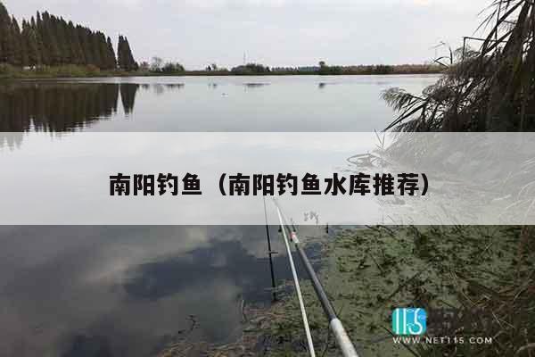 南阳钓鱼（南阳钓鱼水库推荐）