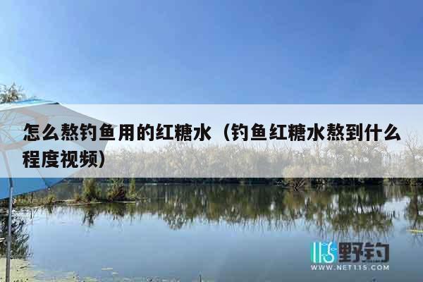 怎么熬钓鱼用的红糖水（钓鱼红糖水熬到什么程度视频）