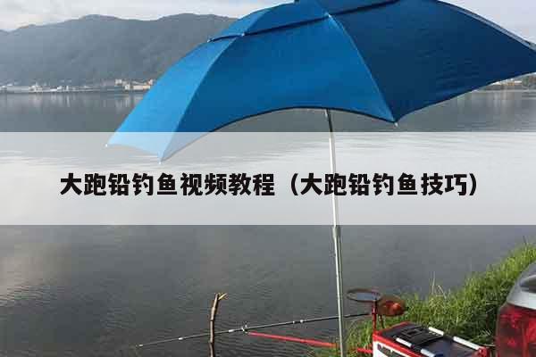 大跑铅钓鱼视频教程（大跑铅钓鱼技巧）