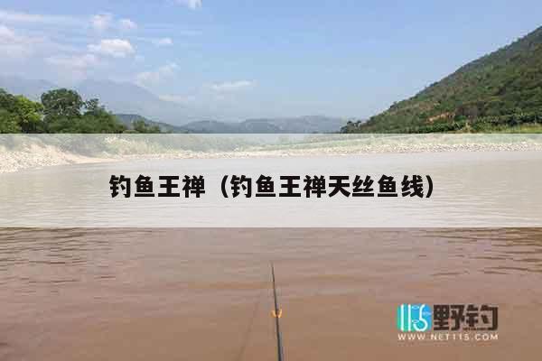 钓鱼王禅（钓鱼王禅天丝鱼线）