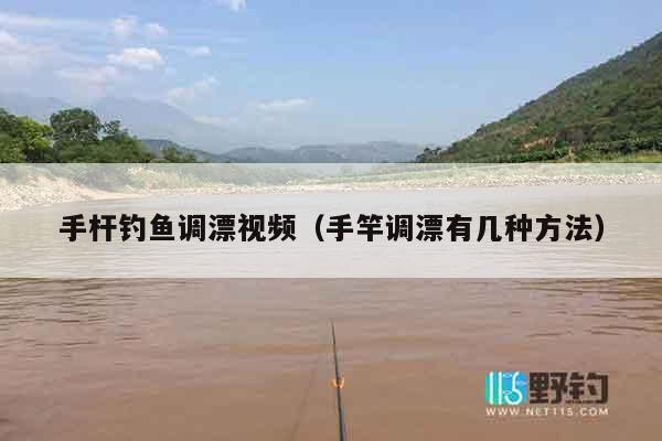 手杆钓鱼调漂视频（手竿调漂有几种方法）