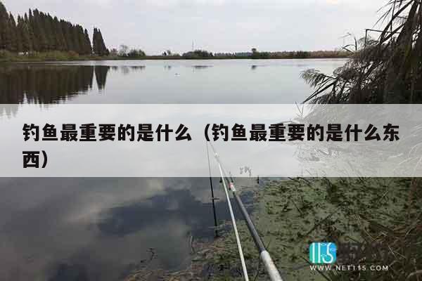钓鱼最重要的是什么（钓鱼最重要的是什么东西）