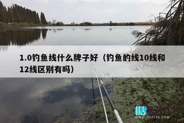 1.0钓鱼线什么牌子好（钓鱼的线10线和12线区别有吗）