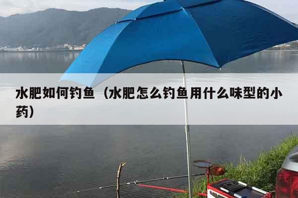 水肥如何钓鱼（水肥怎么钓鱼用什么味型的小药）
