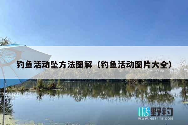 钓鱼活动坠方法图解（钓鱼活动图片大全）