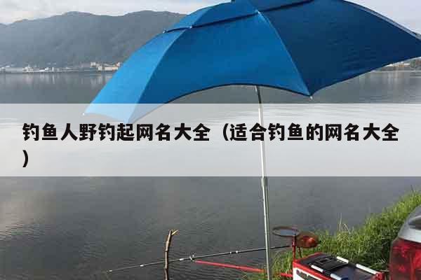 钓鱼人野钓起网名大全（适合钓鱼的网名大全）