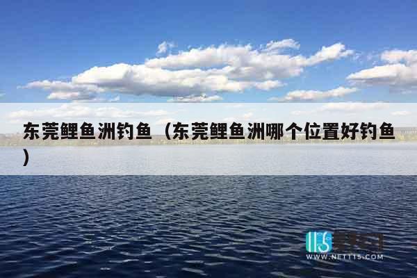 东莞鲤鱼洲钓鱼（东莞鲤鱼洲哪个位置好钓鱼）