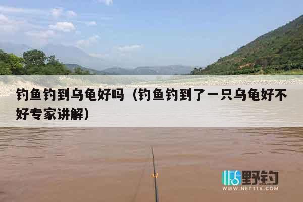 钓鱼钓到乌龟好吗（钓鱼钓到了一只乌龟好不好专家讲解）