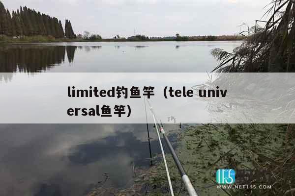 limited钓鱼竿（tele universal鱼竿）
