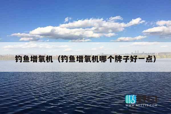 钓鱼增氧机（钓鱼增氧机哪个牌子好一点）