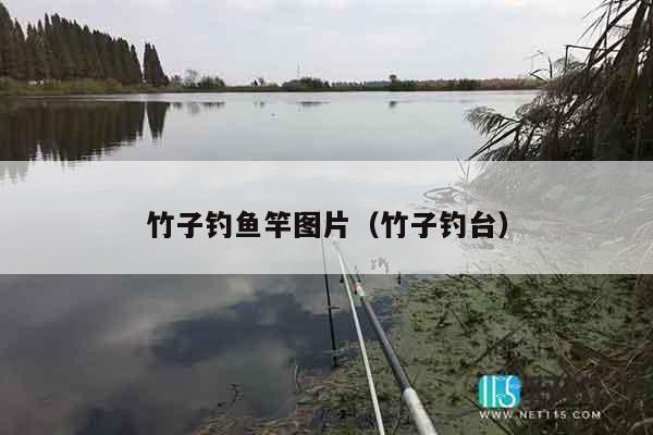 竹子钓鱼竿图片（竹子钓台）