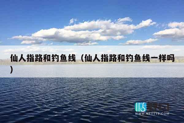 仙人指路和钓鱼线（仙人指路和钓鱼线一样吗）
