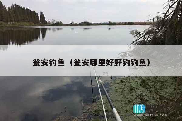 瓮安钓鱼（瓮安哪里好野钓钓鱼）