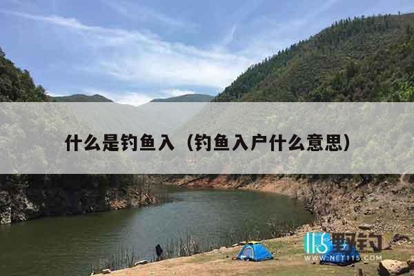 什么是钓鱼入（钓鱼入户什么意思）