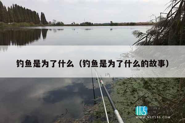 钓鱼是为了什么（钓鱼是为了什么的故事）