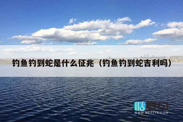 钓鱼钓到蛇是什么征兆（钓鱼钓到蛇吉利吗）