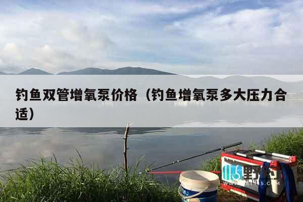 钓鱼双管增氧泵价格（钓鱼增氧泵多大压力合适）