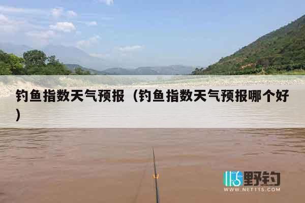 钓鱼指数天气预报（钓鱼指数天气预报哪个好）