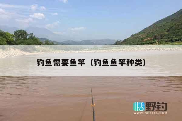 钓鱼需要鱼竿（钓鱼鱼竿种类）