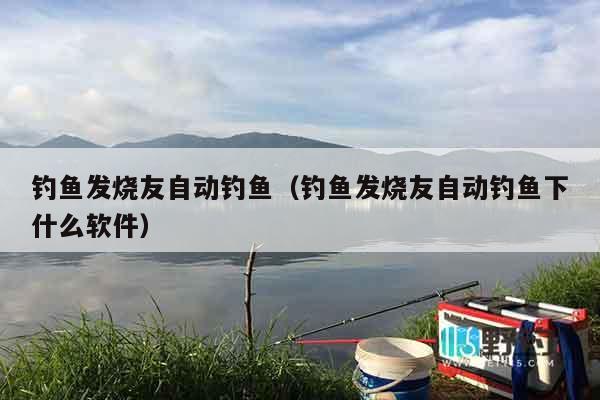 钓鱼发烧友自动钓鱼（钓鱼发烧友自动钓鱼下什么软件）